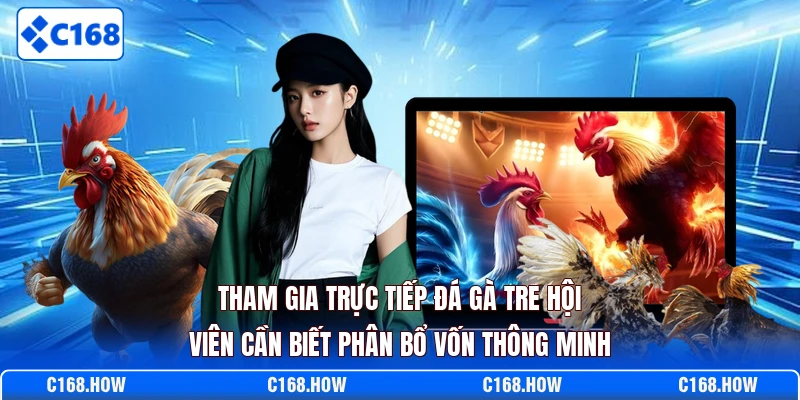 Tham gia trực tiếp đá gà tre hội viên cần biết phân bổ vốn thông minh