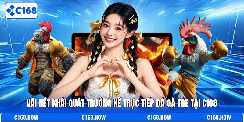 Vài nét khái quát trường kê trực tiếp đá gà tre tại C168
